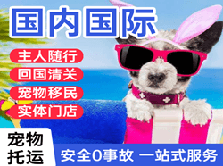 榆林榆阳机场货运国际宠物托运 【国